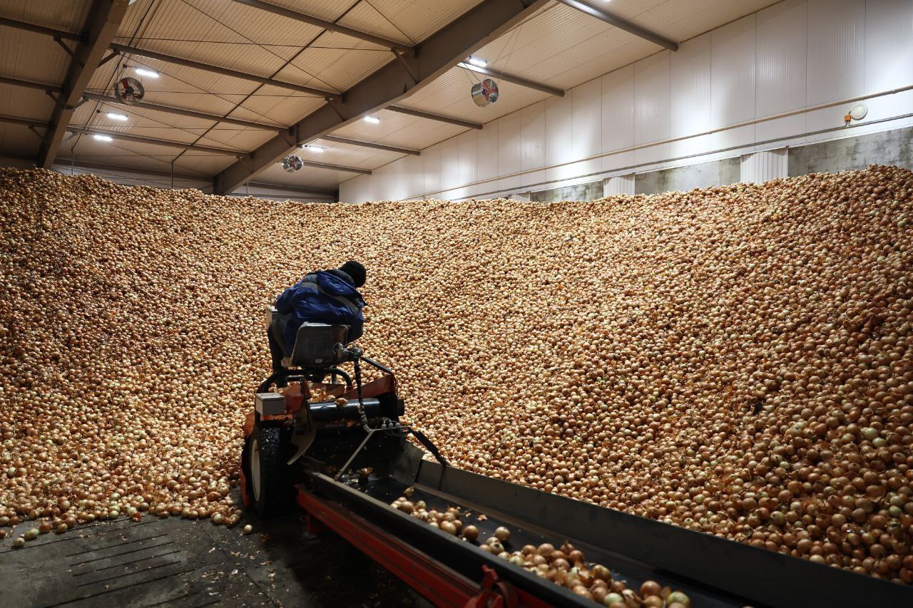 Губернатор Игорь Бабушкин посетил предприятие по выращиванию овощей в Астраханской области Губернатор Игорь Бабушкин посетил предприятие по выращиванию овощей в Астраханской области