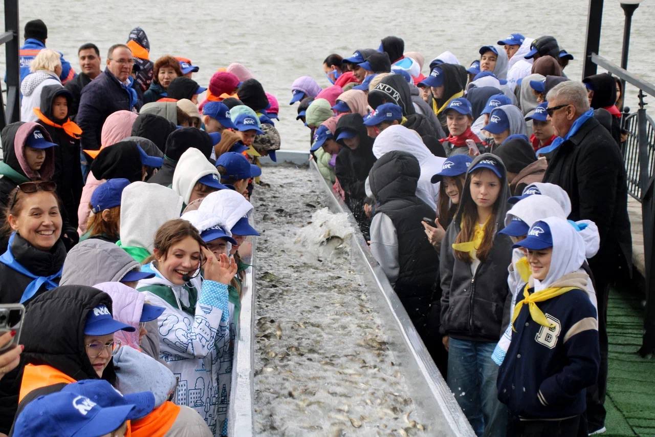 Около 27 тысяч молоди сазана выпустили в реку Кизань Около 27 тысяч молоди сазана выпустили в реку Кизань