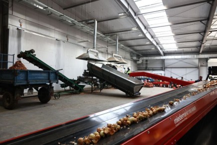 Губернатор Игорь Бабушкин посетил предприятие по выращиванию овощей в Астраханской области