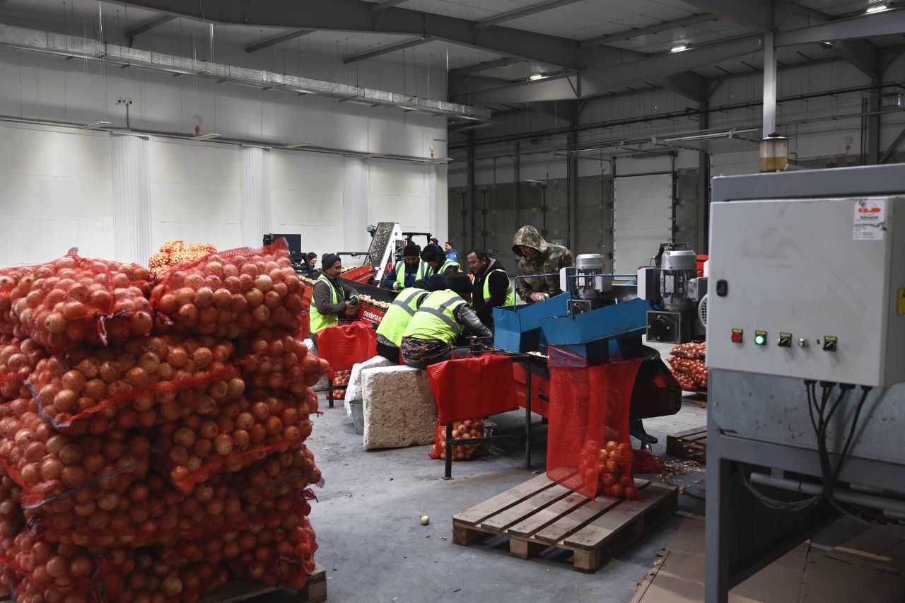 Губернатор Игорь Бабушкин посетил предприятие по выращиванию овощей в Астраханской области Губернатор Игорь Бабушкин посетил предприятие по выращиванию овощей в Астраханской области