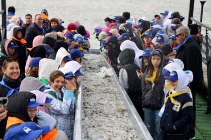 В Астраханской области выпустили в воду более 27 тысяч мальков сазана