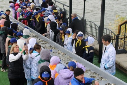 Около 27 тысяч молоди сазана выпустили в реку Кизань