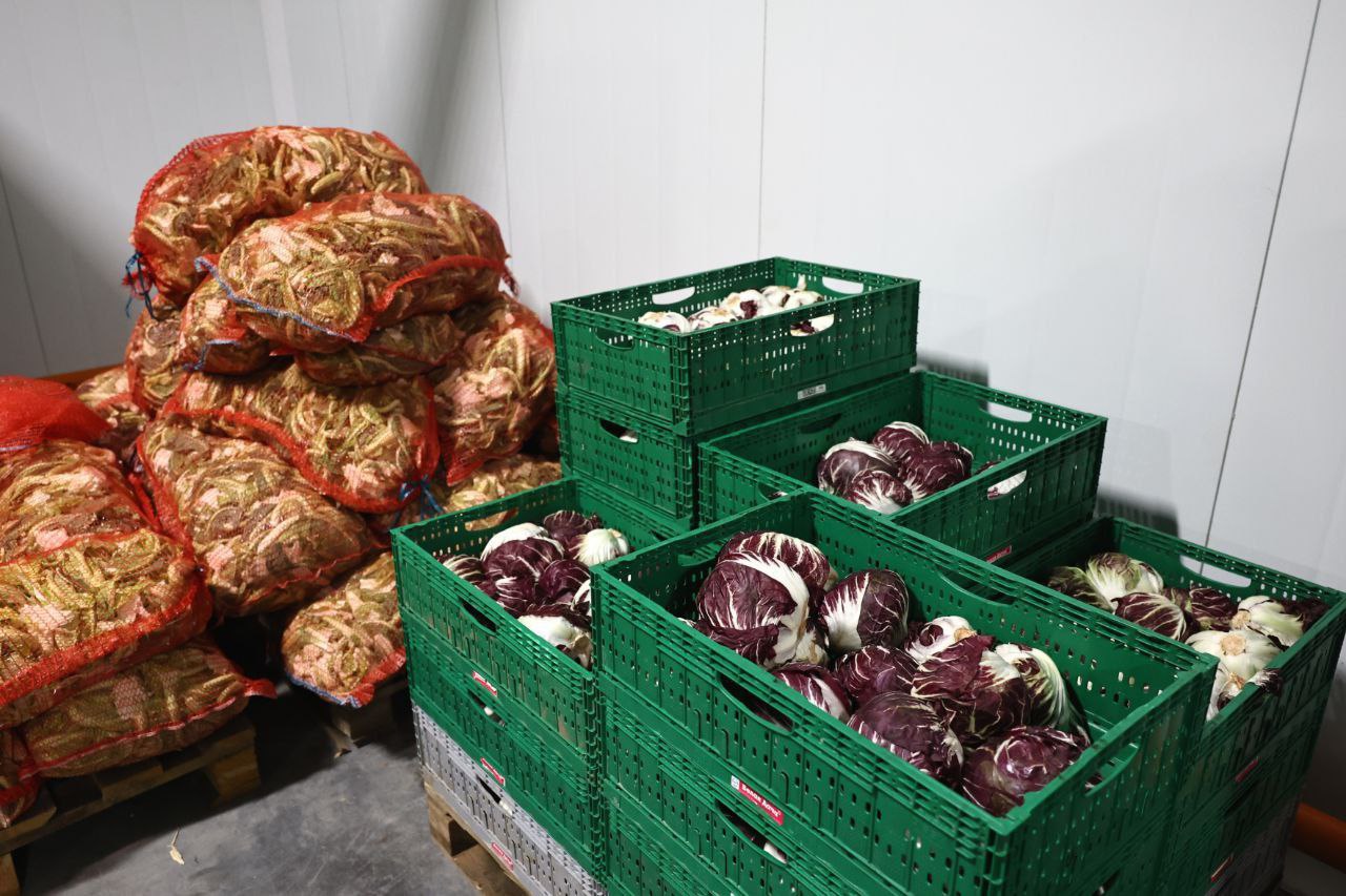 Губернатор Игорь Бабушкин посетил предприятие по выращиванию овощей в Астраханской области Губернатор Игорь Бабушкин посетил предприятие по выращиванию овощей в Астраханской области