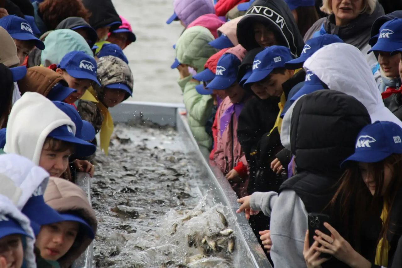 В Астраханской области выпустили около 27 тысяч молоди сазана В Астраханской области выпустили около 27 тысяч молоди сазана