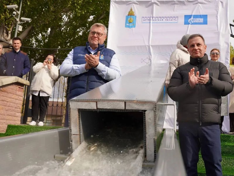 В Астраханской области выпустили около 27 тысяч молоди сазана В Астраханской области выпустили около 27 тысяч молоди сазана