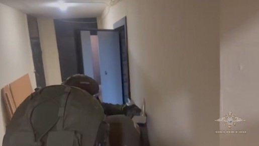 В МВД сообщили о задержании группы хакеров, подозреваемых в создании вируса «Медуза»