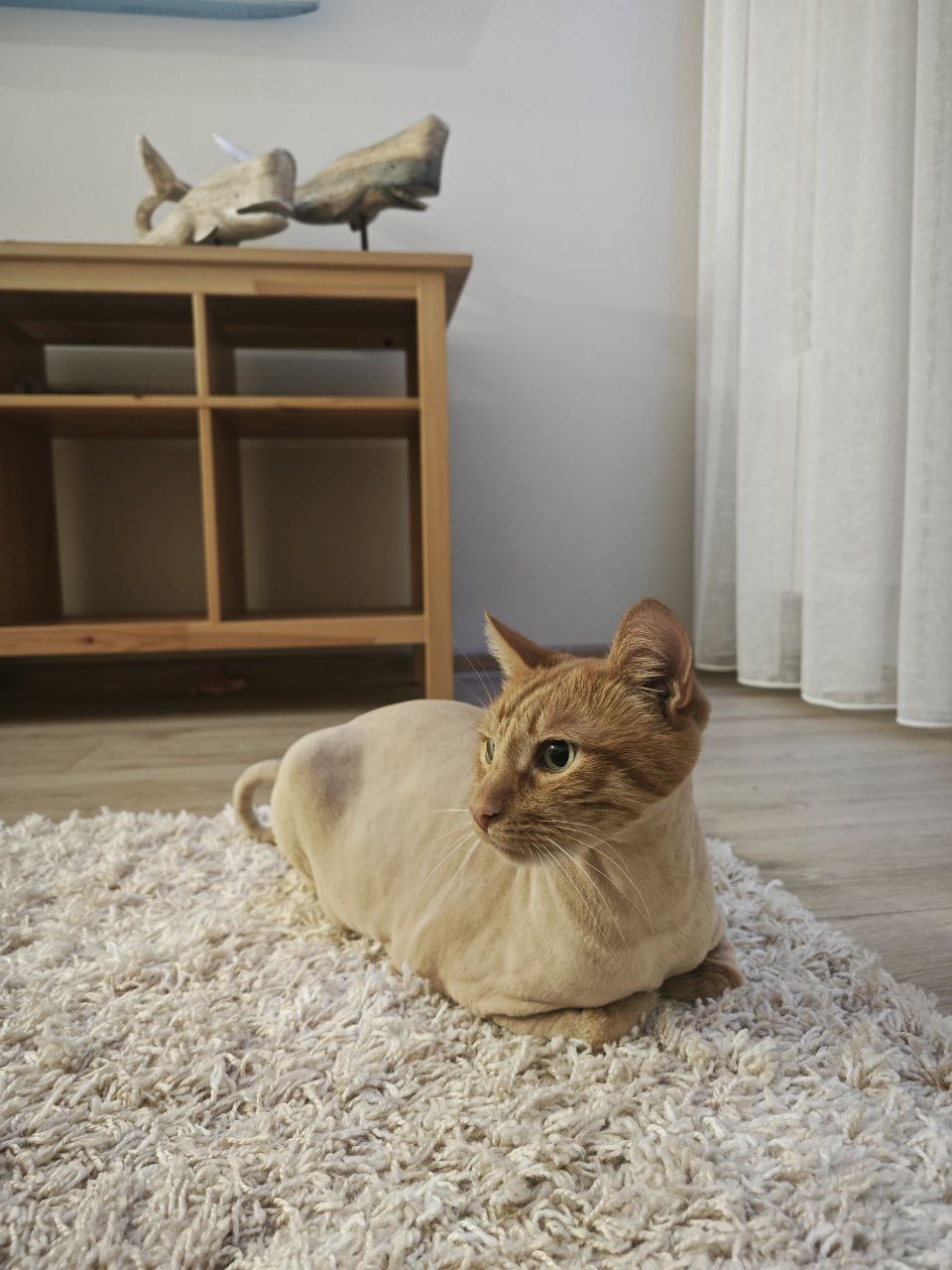 О погоде. Сегодня местами по региону ожидается небольшой дождь