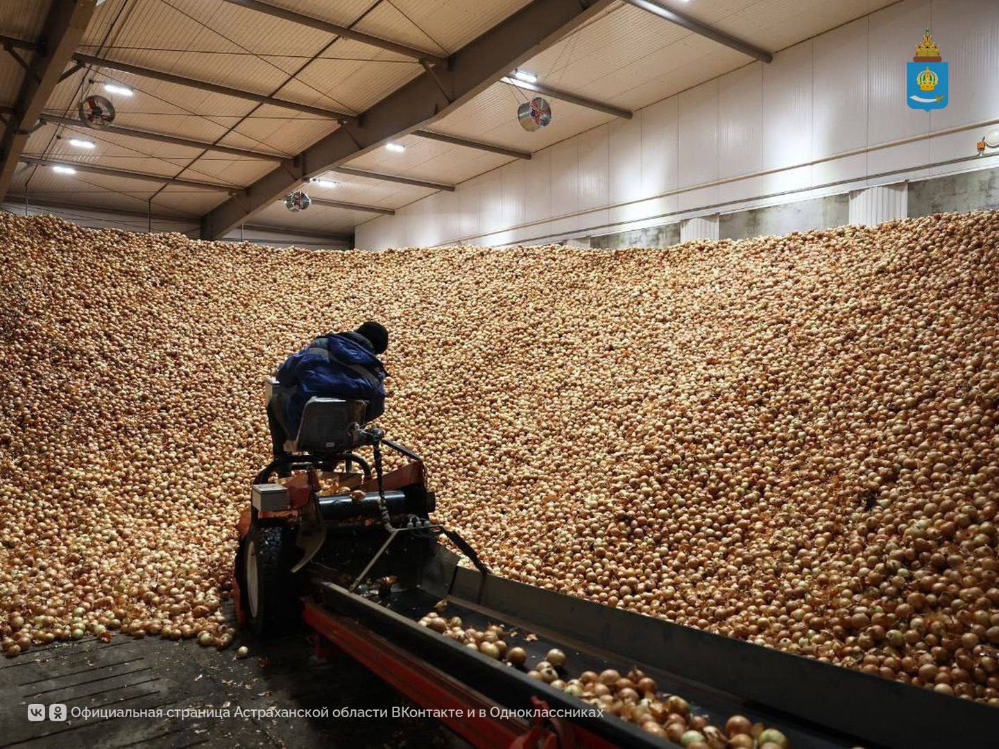 Глава региона площадки производственные площадки ООО «Белая дача» обсудил с гендиректором Павлом Кузьминым перспективу участия компании в особой экономической зоне «Лотос» Глава региона площадки производственные площадки ООО «Белая дача» обсудил с гендиректором Павлом Кузьминым перспективу участия компании в особой экономической зоне «Лотос»