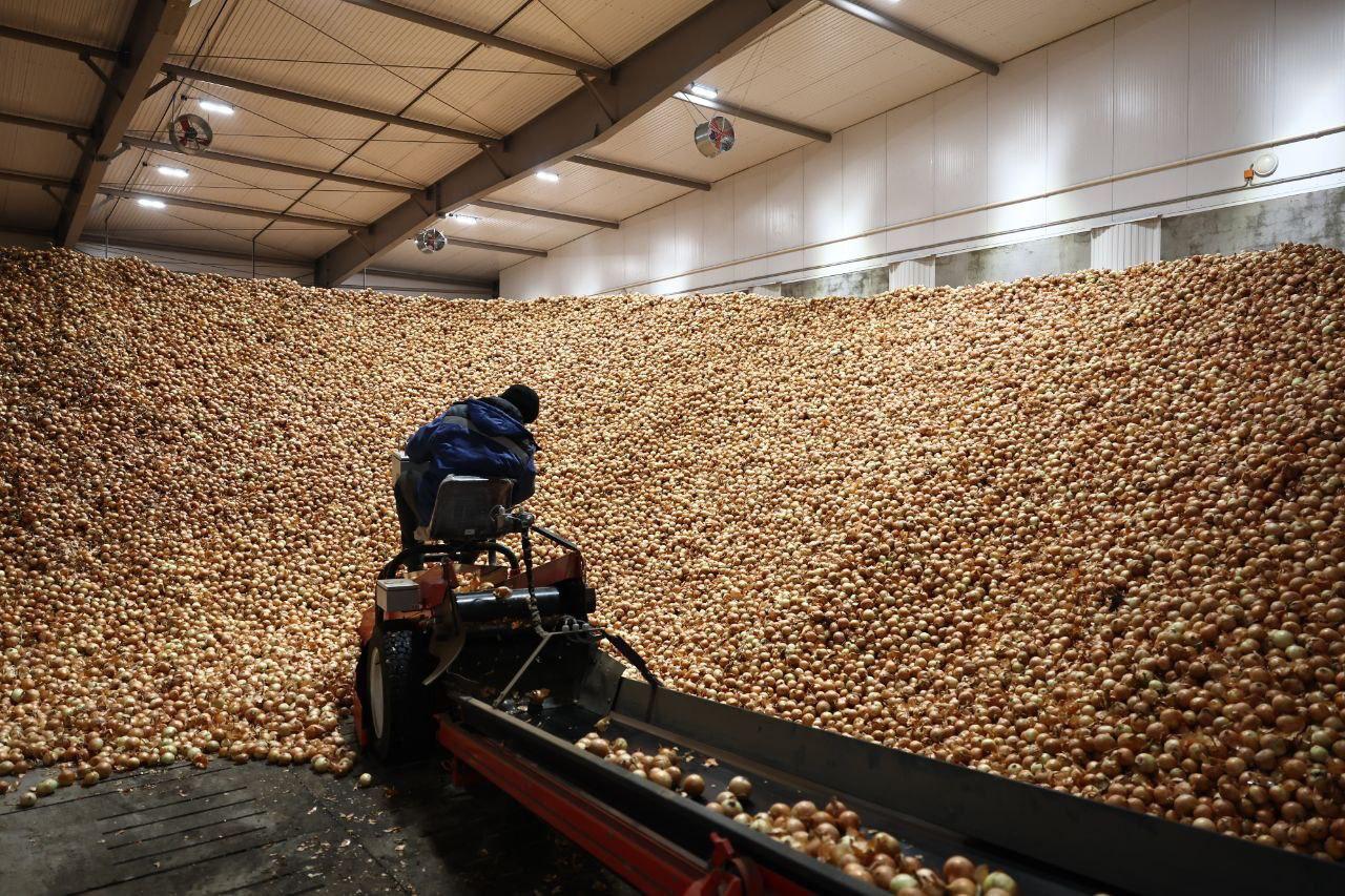 Агропредприятие ООО «Белая дача» может войти в состав особой экономической зоны «Лотос» в Астраханской области