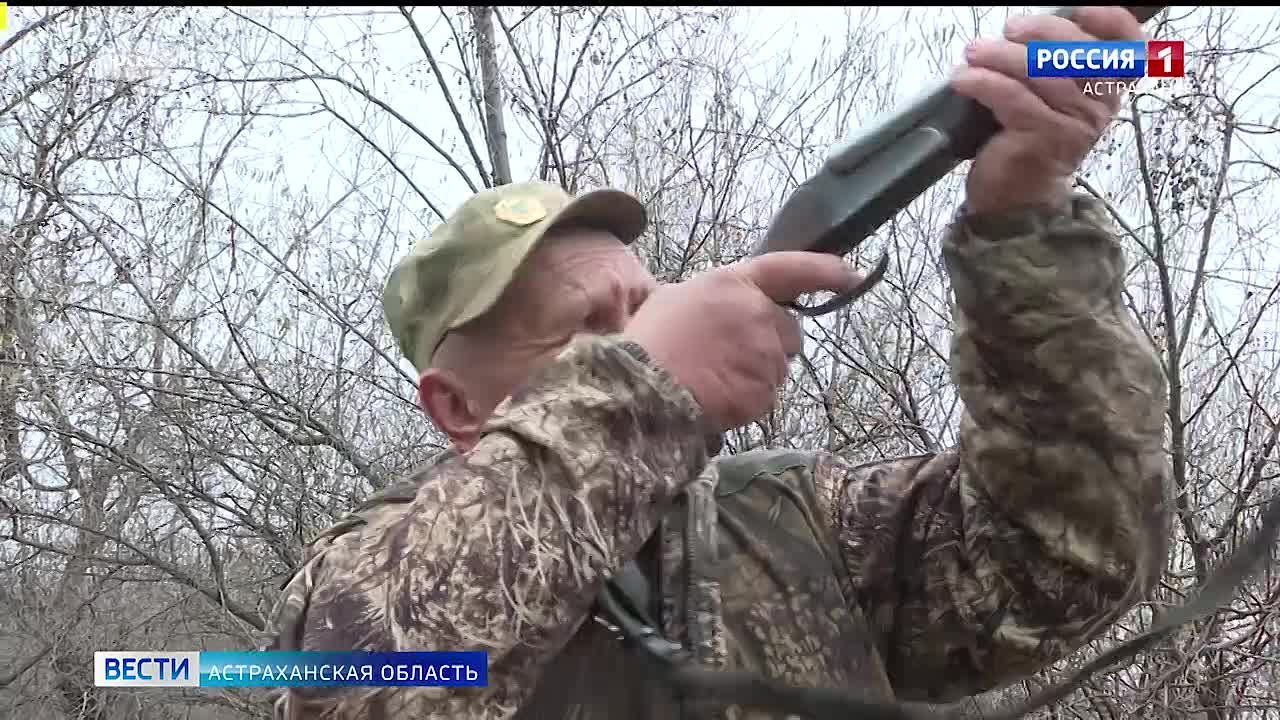 С 1 ноября в Астраханской области открывается сезон охоты на степную, полевую дичь и пушных животных