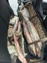 Астраханца с осетровыми и чёрной икрой задержали в Черноярском округе