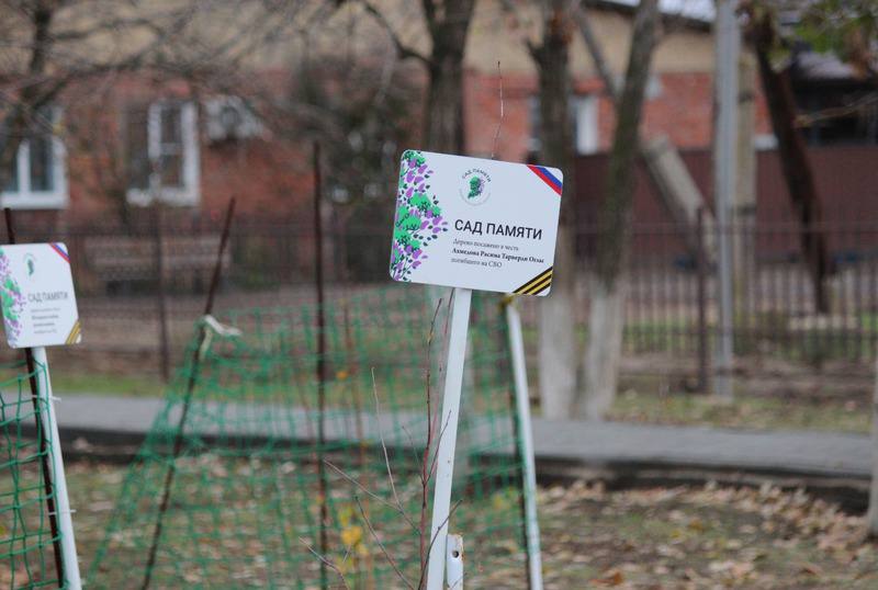 Парк Победы в селе Ватажное преобразился благодаря нацпроекту Парк Победы в селе Ватажное преобразился благодаря нацпроекту