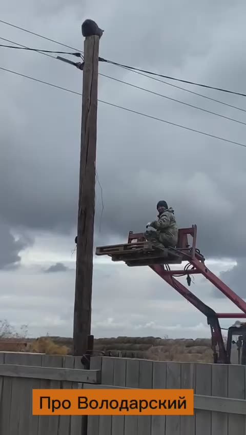 Ещё одну котейку спасли в Астраханской области