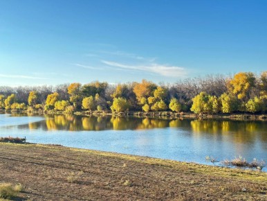 О погоде. Сегодня ожидается переменная облачность, без существенных осадков