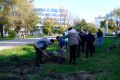 В сквере Ульяновых высадили сакуру