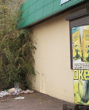 Содержание в чистоте территории, прилегающей к торговым помещениям - обязанность предпринимателя!