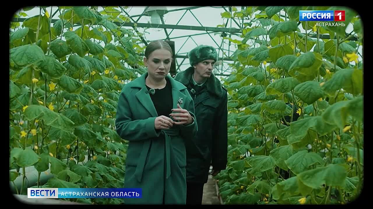 Новый выпуск передачи «Открытый разговор» выйдет уже в это воскресенье