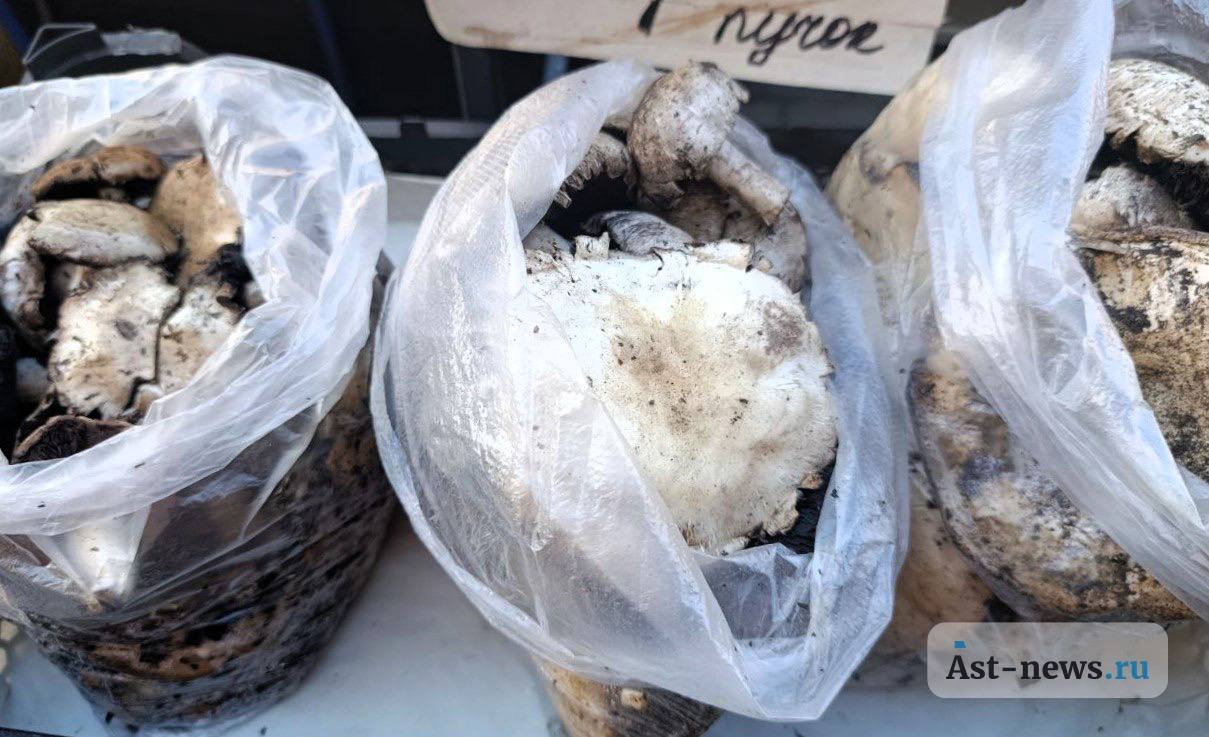 Что дорожает и дешевеет на астраханских базарах Что дорожает и дешевеет на астраханских базарах