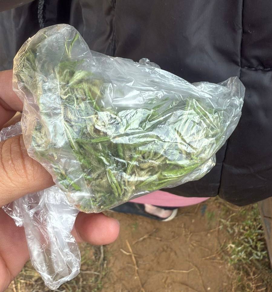 В Наримановском районе наркополицейские задержали подозреваемого в незаконном хранении и сбыте наркотического вещества растительного происхождения