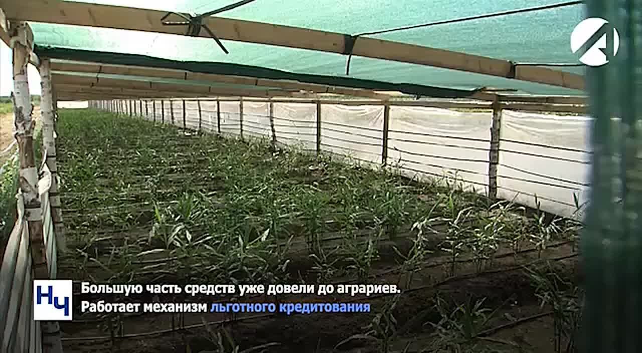 На поддержку российских аграриев выделят более шести миллиардов рублей