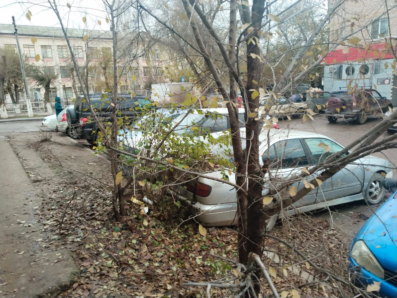 Специалисты отдела по делам административных правонарушений, совместно с представителями сектора муниципального контроля, продолжают рейдовые мероприятия Специалисты отдела по делам административных правонарушений, совместно с представителями сектора муниципального контроля, продолжают рейдовые мероприятия