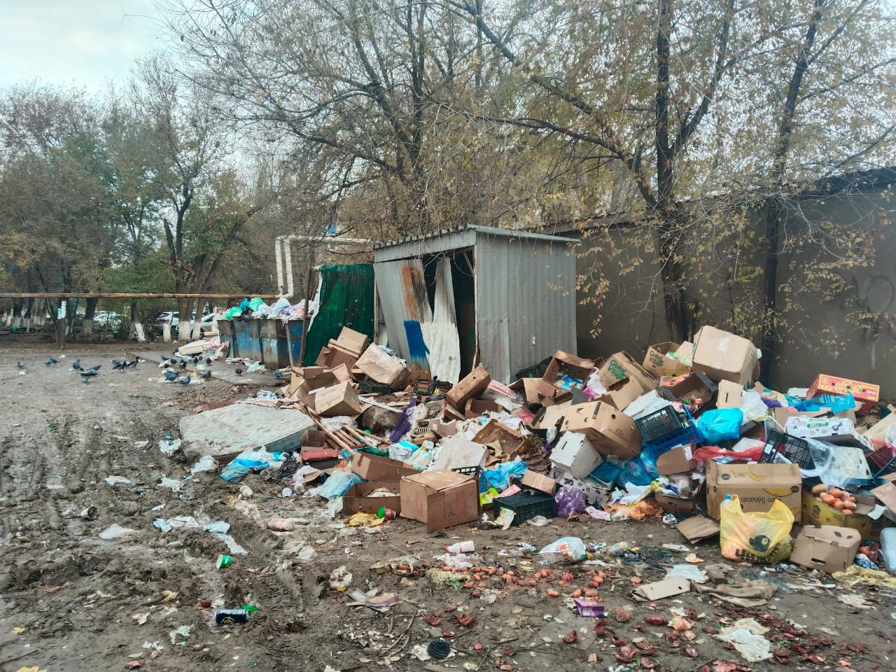 Специалисты отдела по делам административных правонарушений, совместно с представителями сектора муниципального контроля, продолжают рейдовые мероприятия Специалисты отдела по делам административных правонарушений, совместно с представителями сектора муниципального контроля, продолжают рейдовые мероприятия