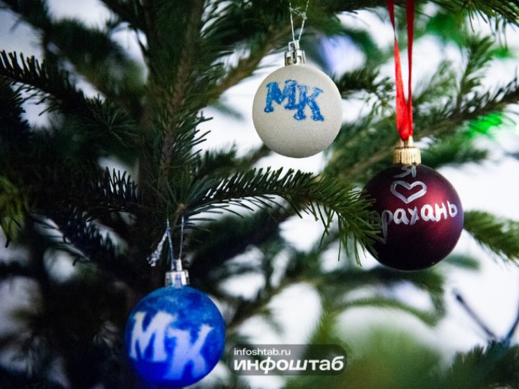 Астраханцам рассказали, где и когда можно будет купить новогоднюю елку