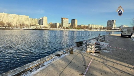 Голову ребёнка в рюкзаке нашли в Гольяновском пруду