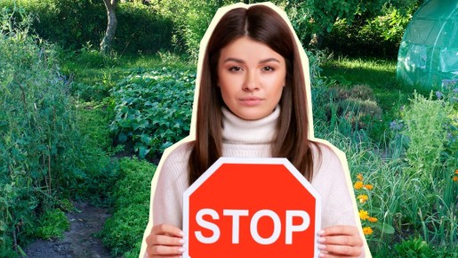 Дача превратится в помойку: никогда не используйте эту популярную вещь как мульчу