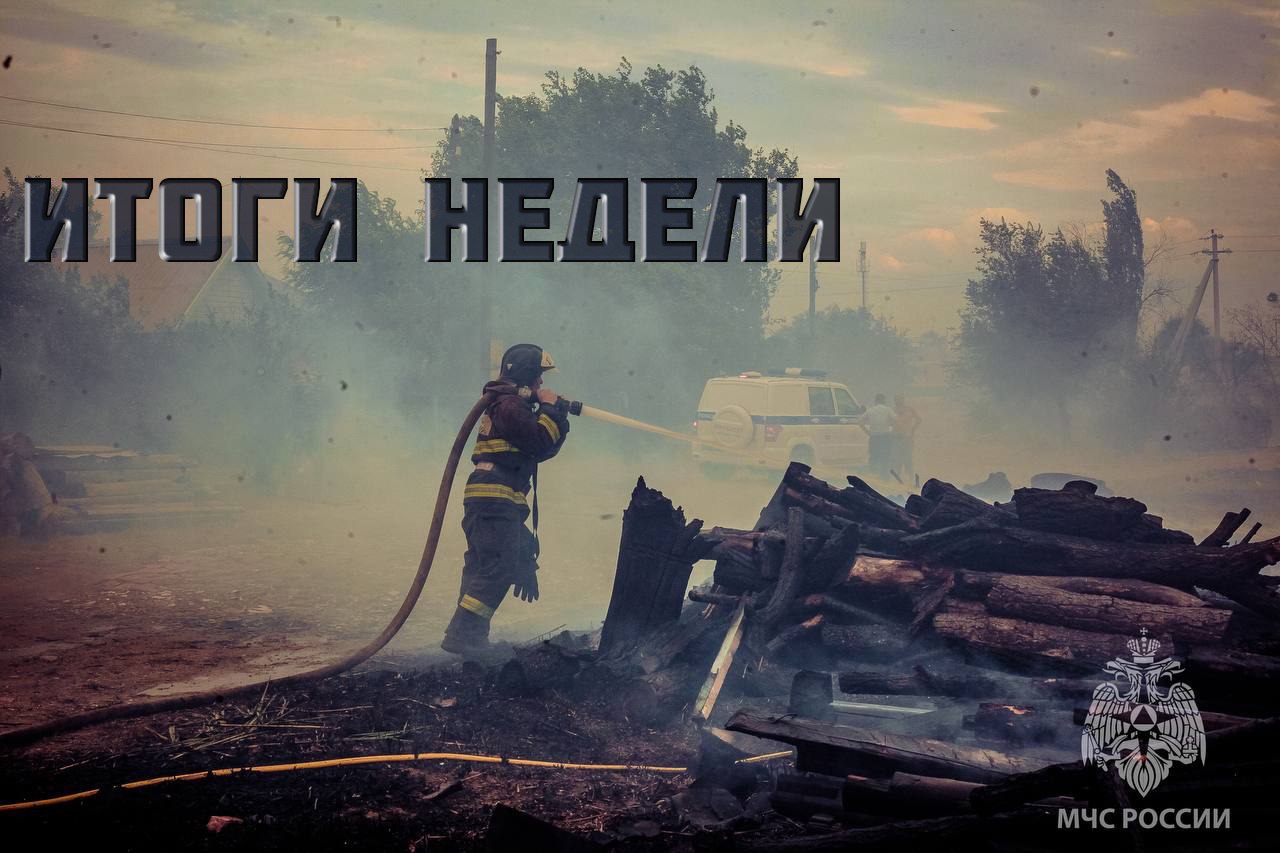 Итоги недели с 11 по 17 ноября 2025 г