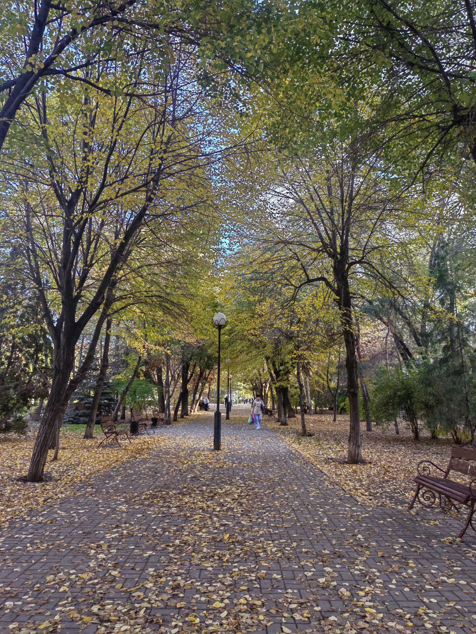 О погоде. Сегодня местами прогоноизируются слабые осадки, а также туман