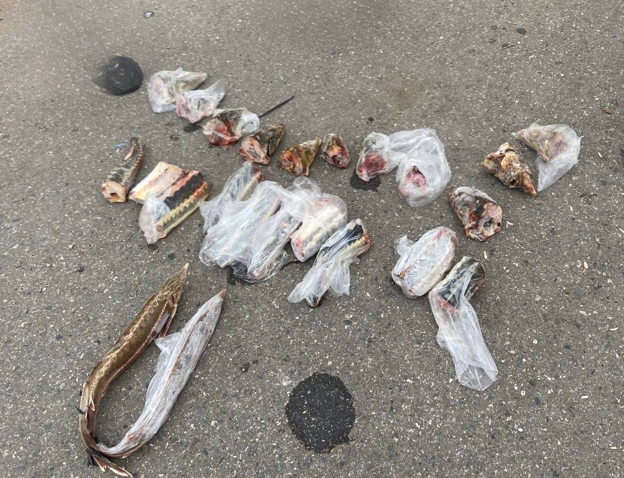 В выходные дни в Астраханской области выявлено 35 фактов управления транспортными средствами в состоянии опьянения и отказа от прохождения медицинского освидетельствования В выходные дни в Астраханской области выявлено 35 фактов управления транспортными средствами в состоянии опьянения и отказа от прохождения медицинского освидетельствования