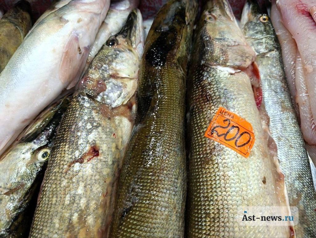Астраханские базары изобилуют свежей рыбой Астраханские базары изобилуют свежей рыбой