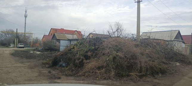 В преддверии новогодних праздников администрация, совместно с депутатами города и района, приступила к санитарной зачистке мест накопления и прилегающих территорий от несанкционированного скопления древестно-кустарниковых...