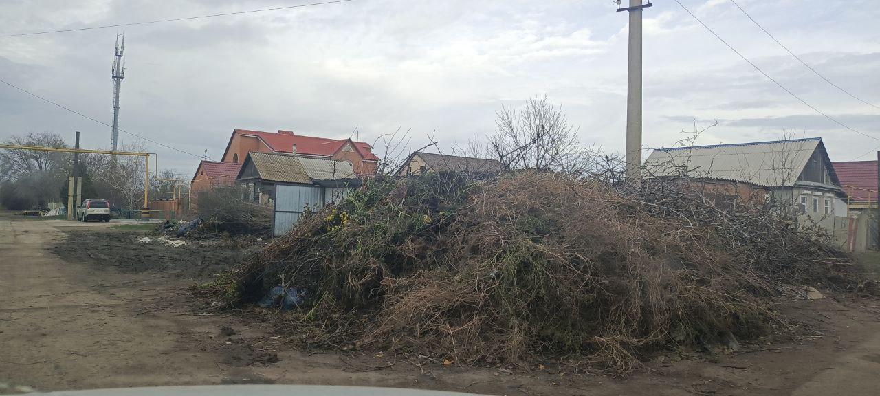 В преддверии новогодних праздников администрация, совместно с депутатами города и района, приступила к санитарной зачистке мест накопления и прилегающих территорий от несанкционированного скопления древестно-кустарниковых...