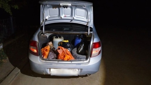 В Астраханской области возбуждено уголовное дело по факту незаконной перевозки рыбы осетровых видов