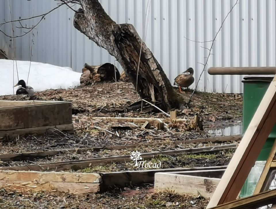 Как поднять уровень участка без лишних затрат и усилий: инновационные решения для огорода