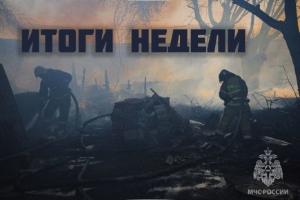 Итоги недели. За неделю огнеборцами было ликвидировано 54 пожара, 4 из которых были ландшафтными