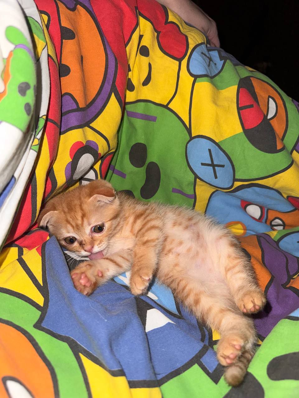 О погоде. Сегодня прогнозируется переменная облачность, без существенных осадков О погоде. Сегодня прогнозируется переменная облачность, без существенных осадков