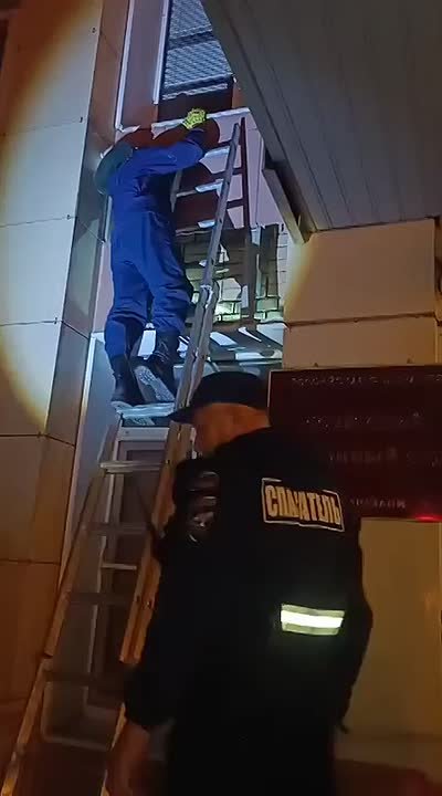 Суд в Астрахани превратился в арену спасения малыша-котёнка