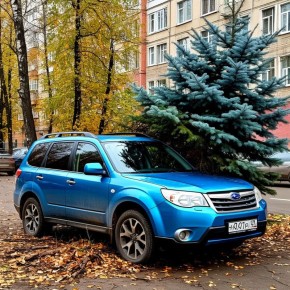 Неожиданный инцидент на заводе: как ДТП с дорогим деревом обернулось судебной баталией