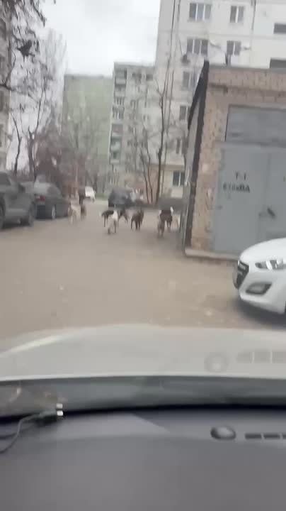 Новости Третьего юго-востока