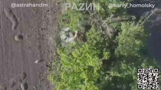  : ,     ,           110- ,       