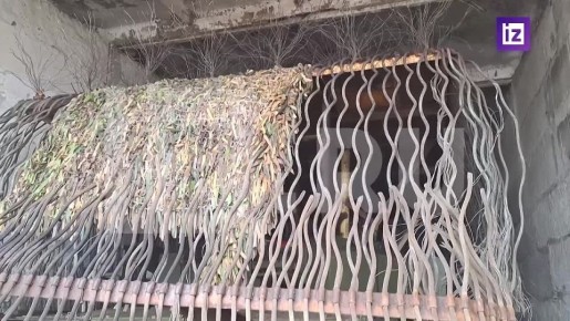  51-     &quot;&quot;       