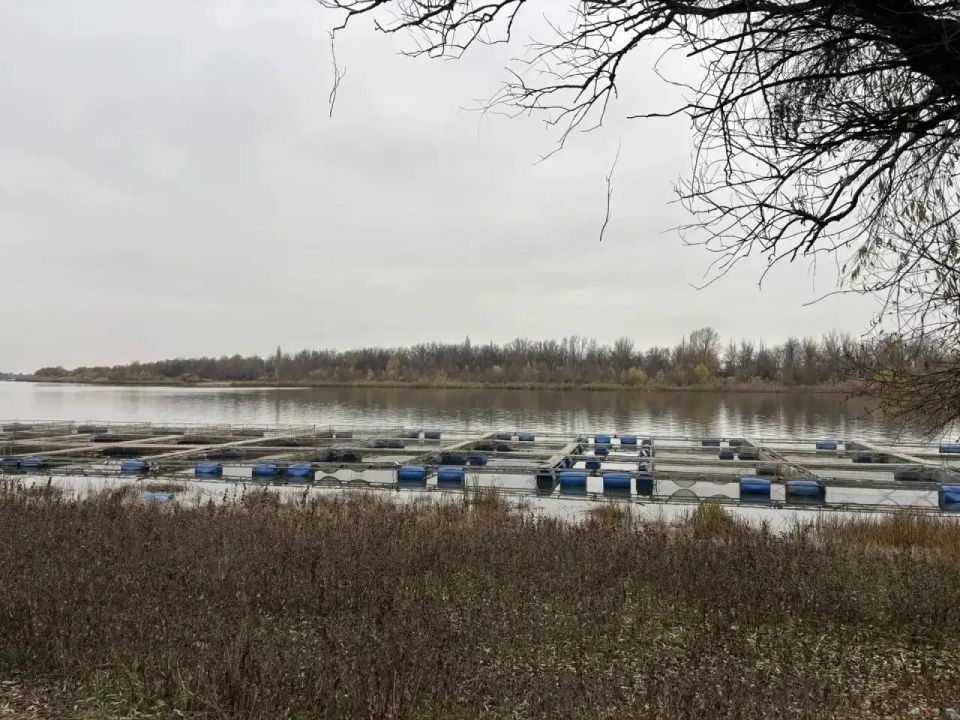 239 астраханских фермеров стали обладателями гранта «Агростартап»