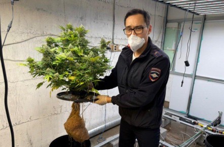    - ,       ,            ...