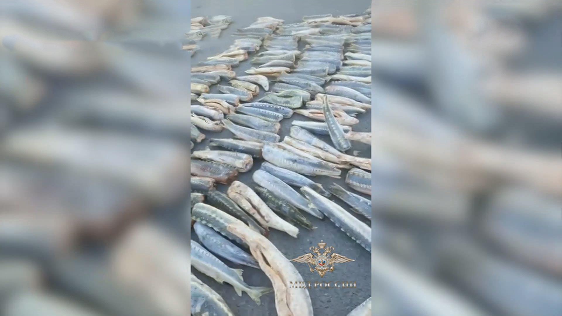 Масштабная операция в Астрахани