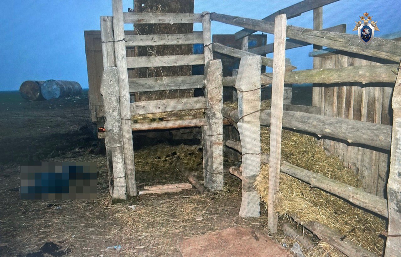 Бычки затоптали мужчину в Черноярском округе Бычки затоптали мужчину в Черноярском округе