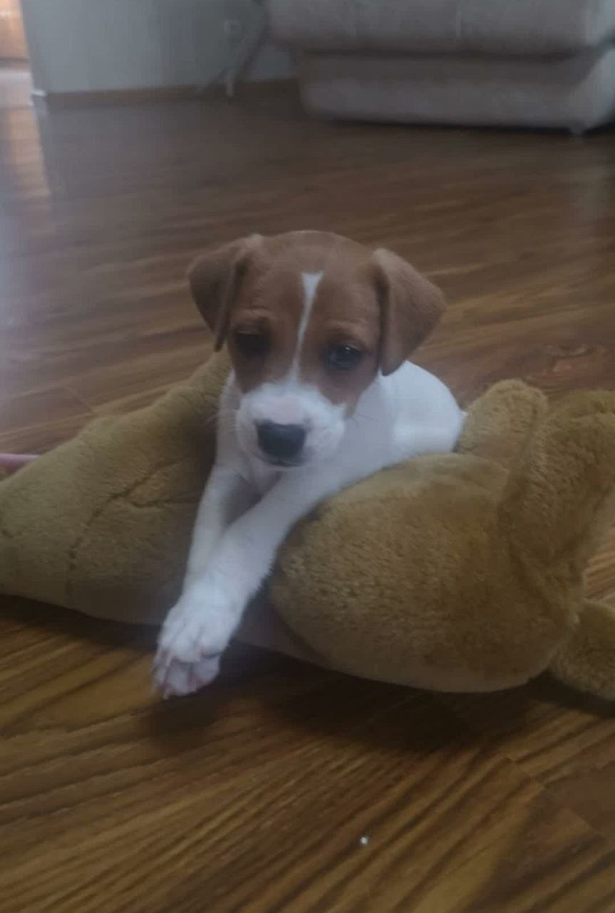 О погоде. Сегодня прогнозируется облачная погода