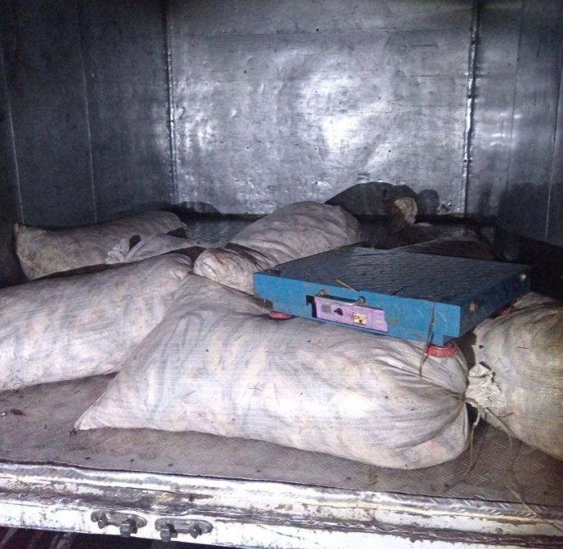 ������������������� ��������� ���������� ��������� ������ �����������